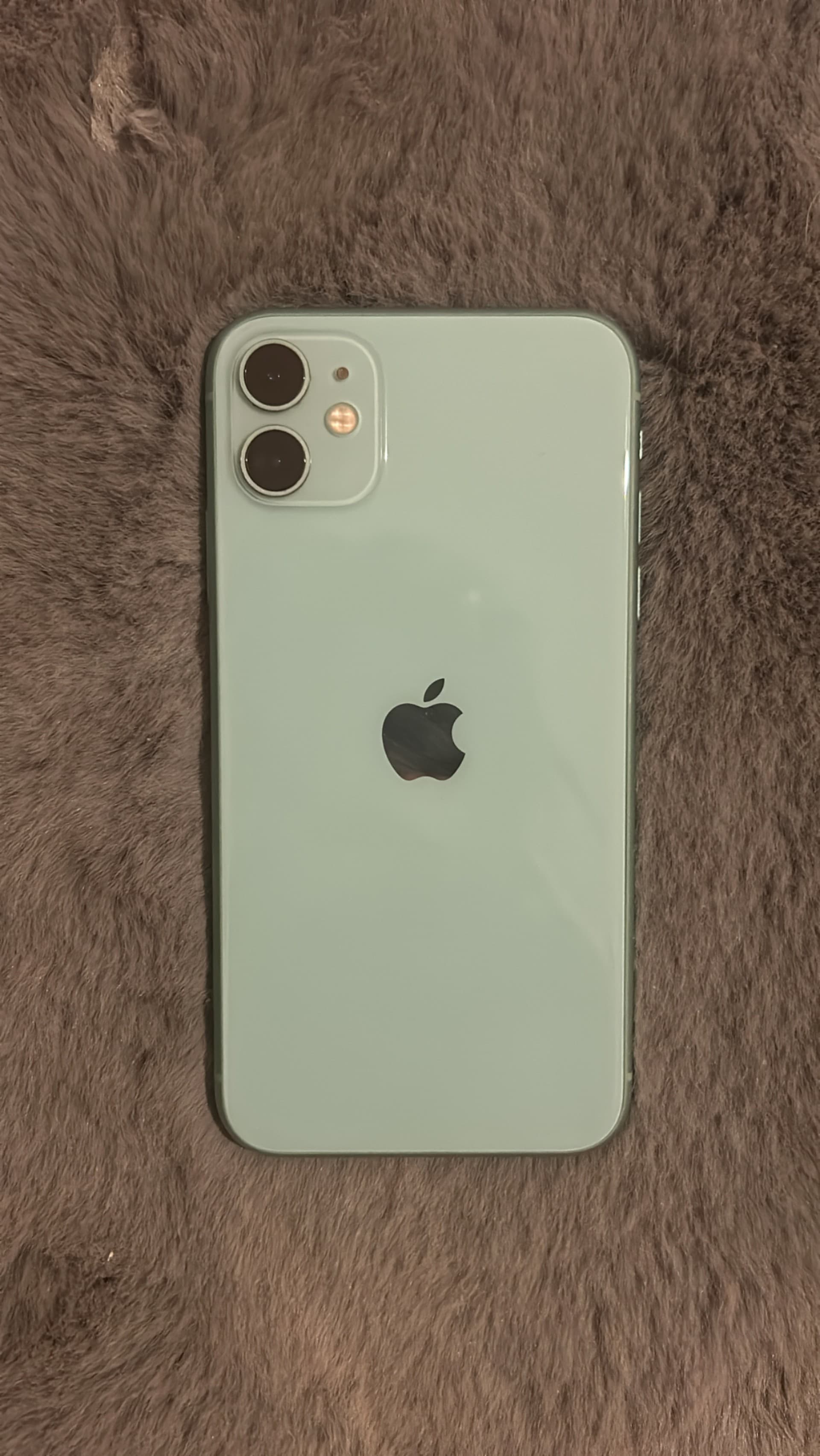 Apple iPhone 11 64GB Green